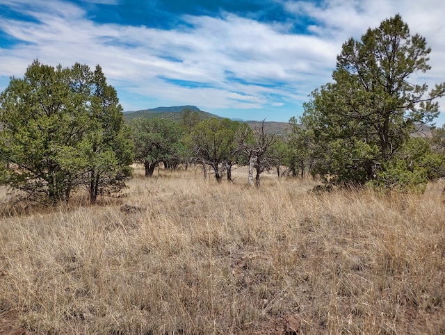 209 Low Meadow Trl, Fort Davis, TX 79734