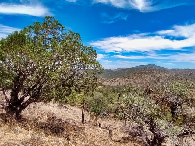 209 Low Meadow Trl, Fort Davis, TX 79734