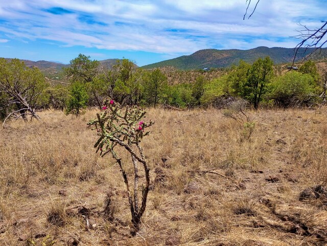 209 Low Meadow Trl, Fort Davis, TX 79734