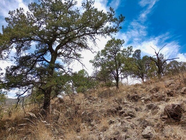 209 Low Meadow Trl, Fort Davis, TX 79734