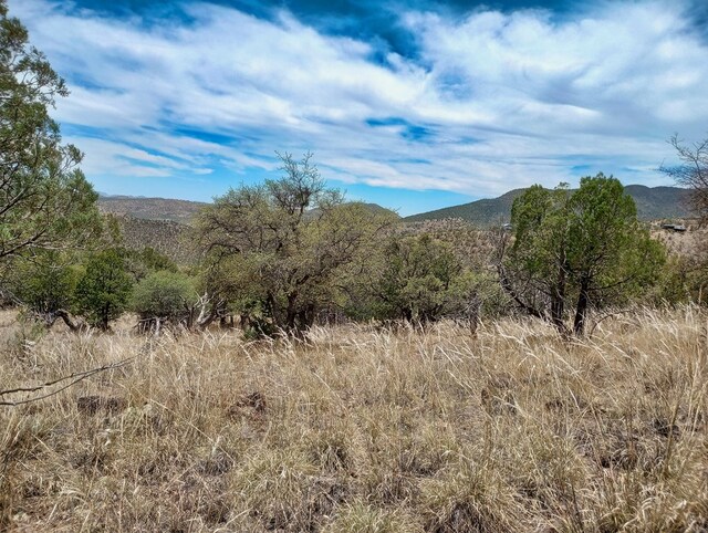 209 Low Meadow Trl, Fort Davis, TX 79734