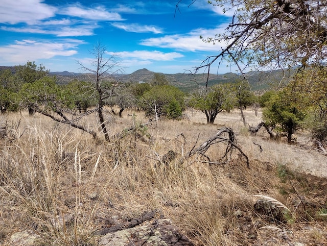 209 Low Meadow Trl, Fort Davis, TX 79734