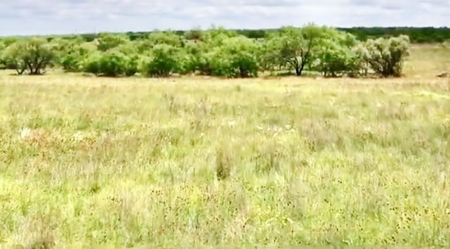 TBD Fm 1710, Woodson, TX 76491 - photo 5