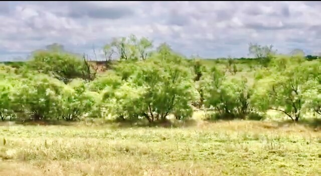 TBD Fm 1710, Woodson, TX 76491 - photo 7