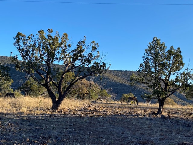 102 Low Meadow Pt, Fort Davis, TX 79734 - mountain view