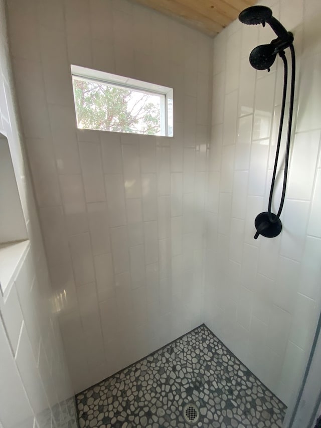 102 Low Meadow Pt, Fort Davis, TX 79734 - bathroom with a tile shower