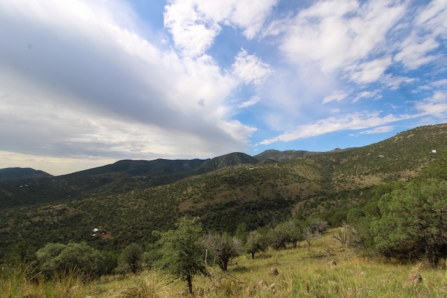102 Low Meadow Pt, Fort Davis, TX 79734 - view of mountain backdrop