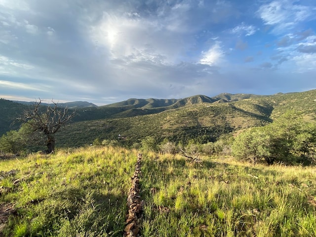 102 Low Meadow Pt, Fort Davis, TX 79734 - view of mountain backdrop