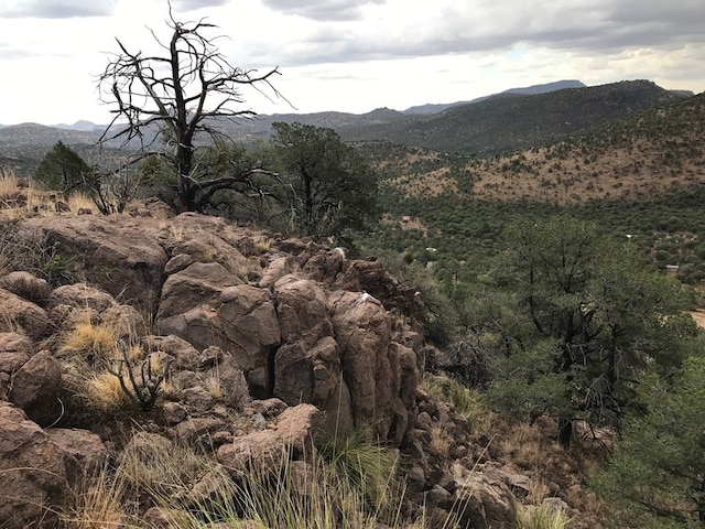 102 Low Meadow Pt, Fort Davis, TX 79734 - view of mountain backdrop