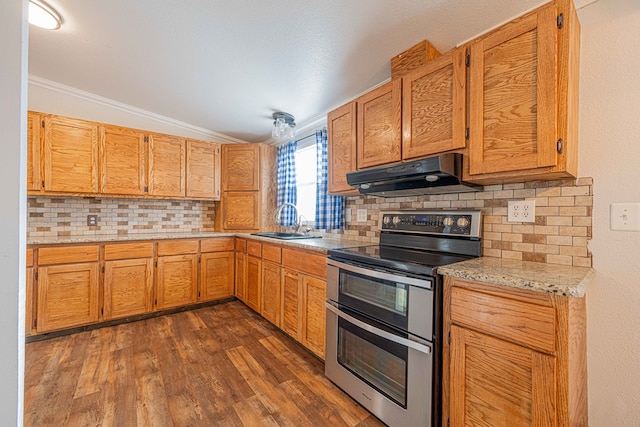 kitchen with tasteful backsplash, lofted ceiling, double oven range, sink, and dark hardwood / wood-style flooring