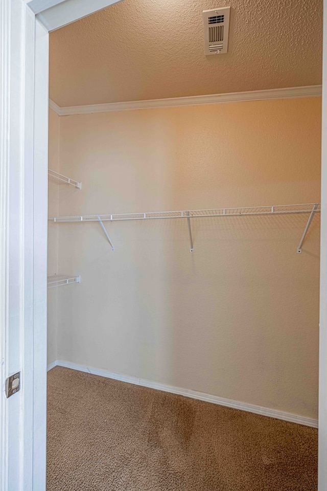 spacious closet with carpet flooring