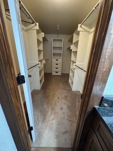 spacious closet with light carpet