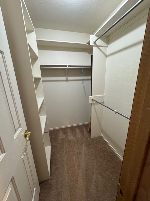 walk in closet with dark carpet