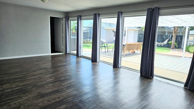 unfurnished room featuring hardwood / wood-style flooring