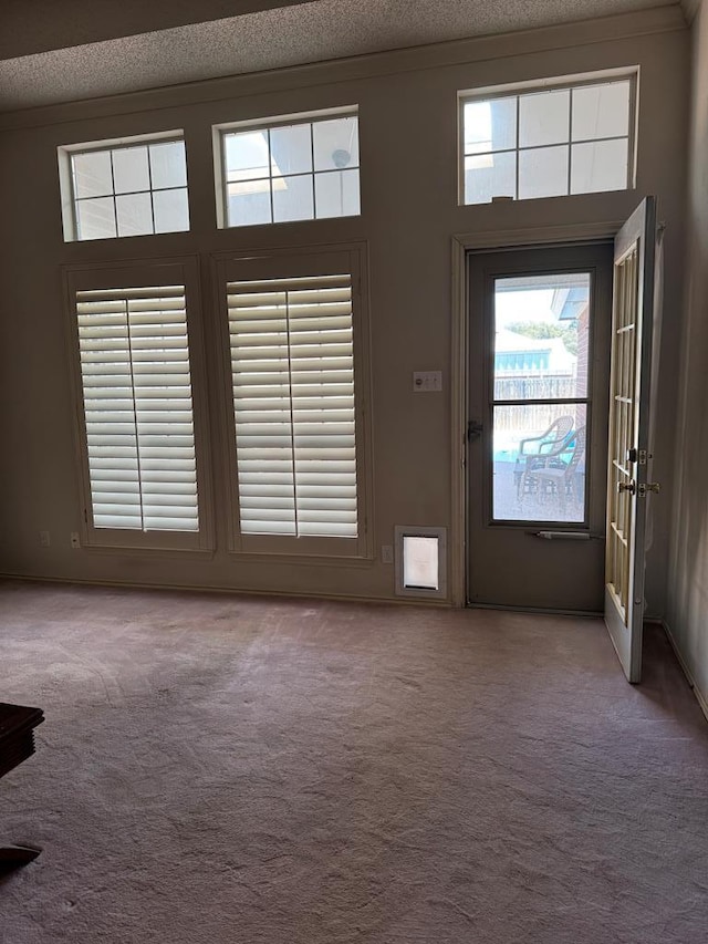 interior space featuring light carpet, ornamental molding, and a textured ceiling