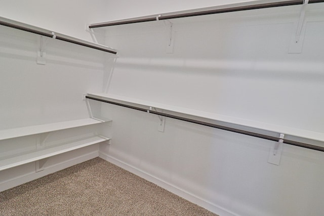 spacious closet featuring carpet floors