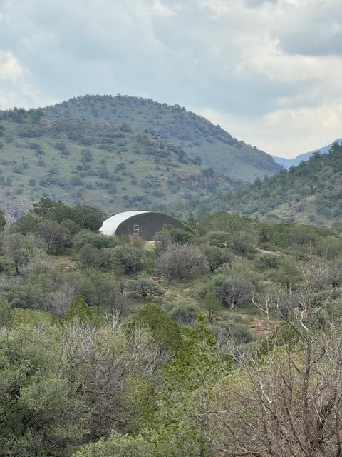 view of mountain feature