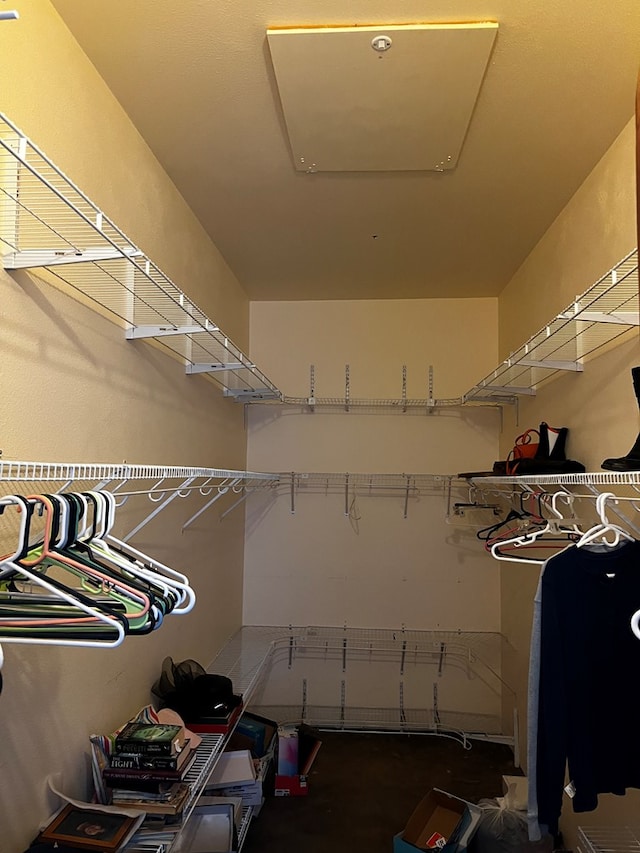 view of walk in closet