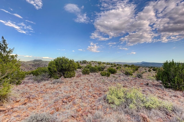 view of nature with a mountain view