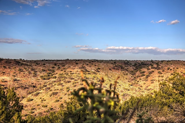 view of local wilderness