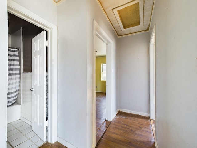 hall with hardwood / wood-style floors