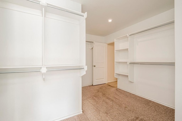 walk in closet with light carpet