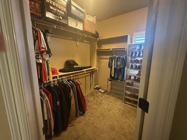 walk in closet featuring carpet