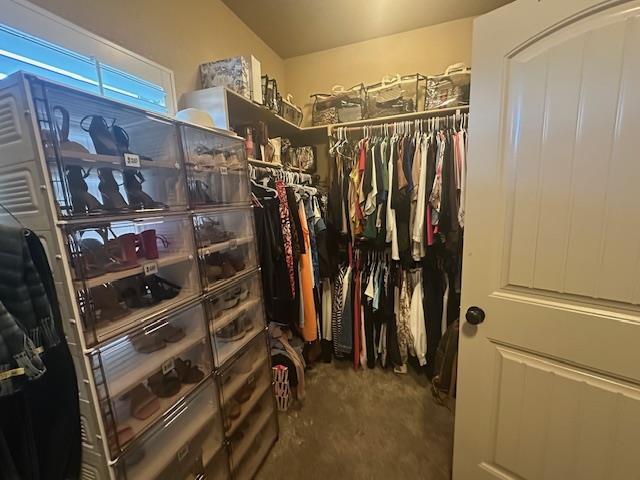 view of walk in closet