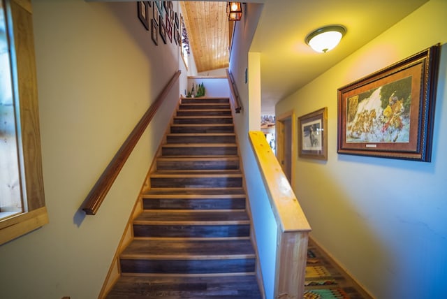 stairway with hardwood / wood-style flooring