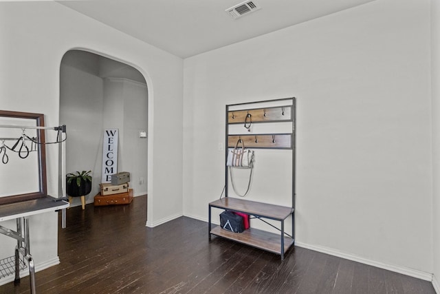 interior space with dark wood-type flooring