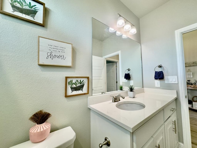 bathroom with wood-type flooring, vanity, and toilet