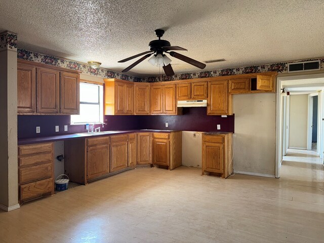 kitchen with ceiling fan, sink, and a textured ceiling