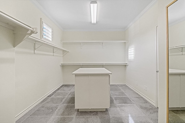 spacious closet with carpet