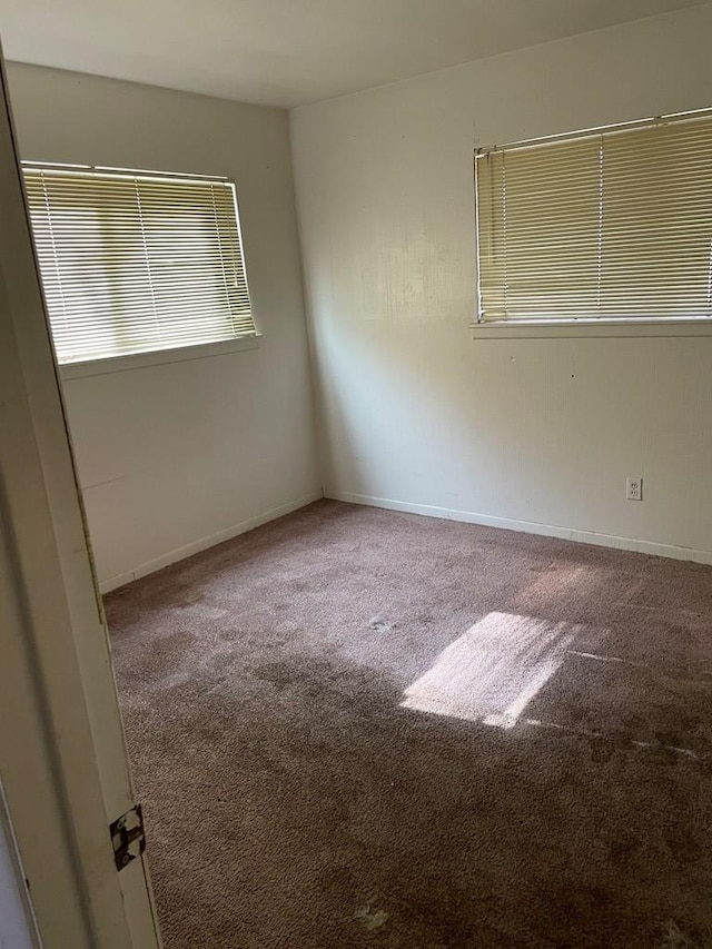 spare room featuring carpet flooring