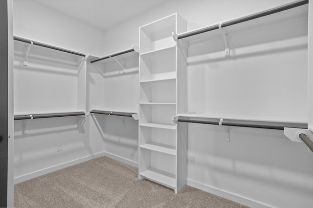 spacious closet featuring light carpet