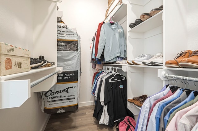 spacious closet featuring wood finished floors