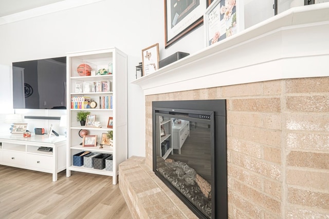 room details with a fireplace and wood finished floors