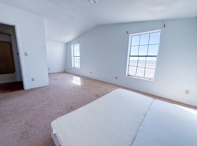 interior space featuring vaulted ceiling and carpet flooring