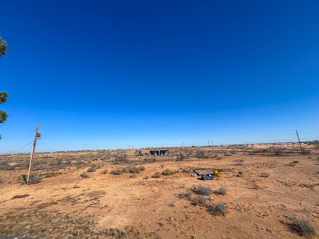 view of local wilderness