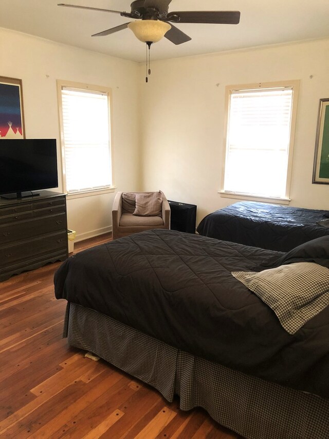 bedroom featuring ceiling fan, dark hardwood / wood-style flooring, and multiple windows