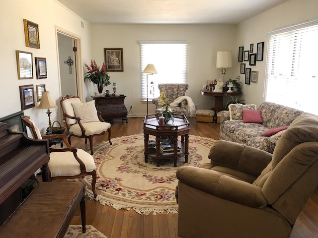 living room with hardwood / wood-style floors and plenty of natural light