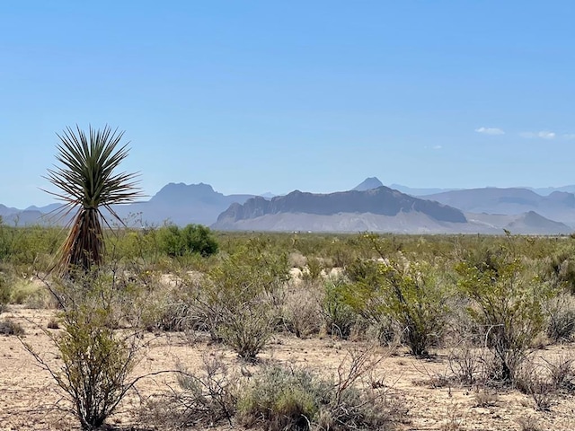 TR4411 Roja Ln, Terlingua TX, 79852 land for sale