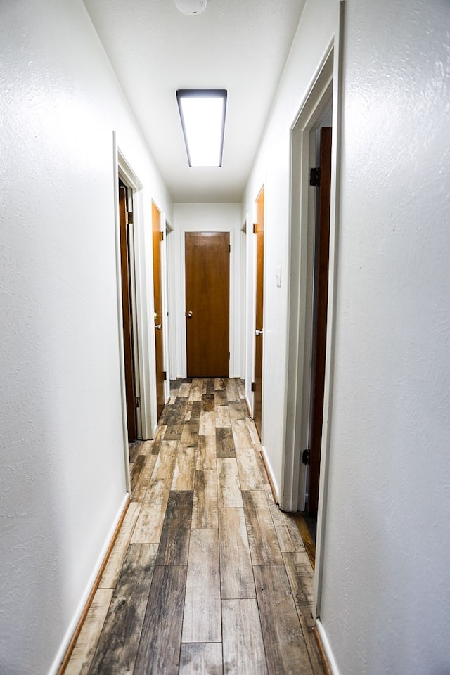 corridor with wood-type flooring