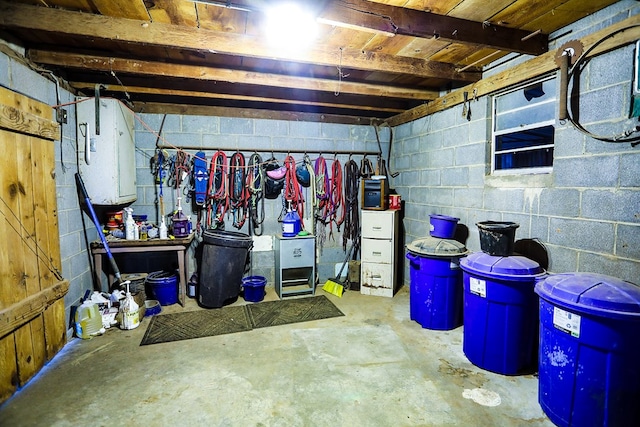 unfinished basement with concrete block wall