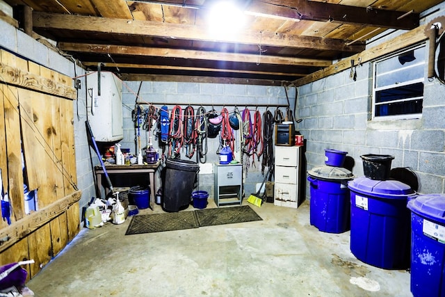 unfinished basement featuring concrete block wall