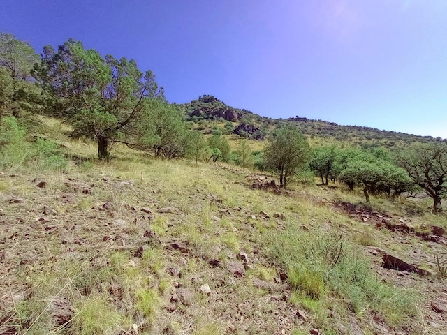 519 Squaw Valley Trl, Fort Davis TX, 79734 land for sale