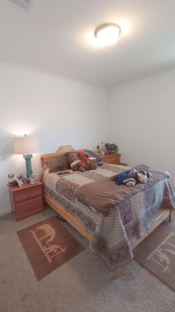 bedroom with carpet