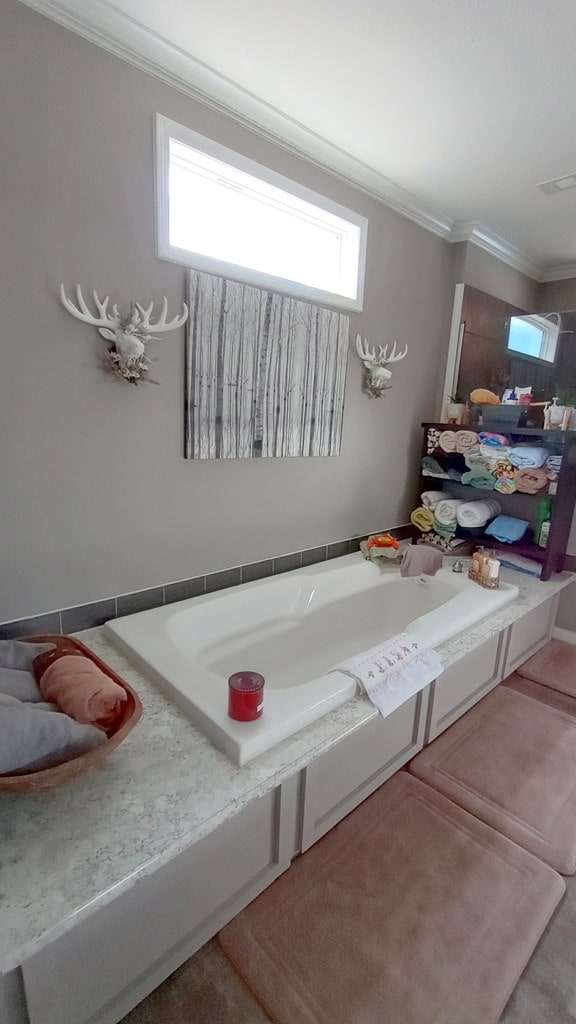 bathroom with a bathtub and crown molding