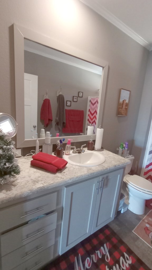 bathroom featuring vanity, toilet, and crown molding