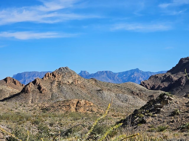 83D Gate 2nd Rd, Terlingua TX, 79852 land for sale